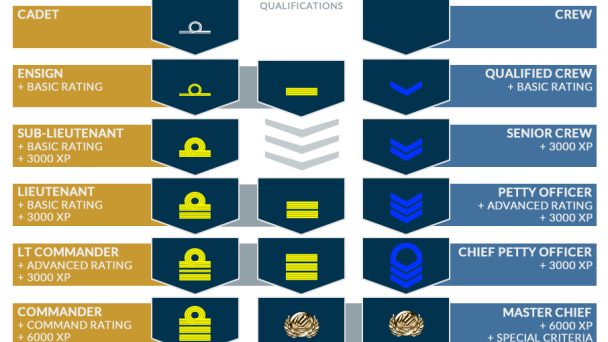Career tracks overview diagram