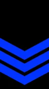 Petty Officer insignia