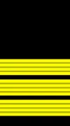 Senior Warrant Officer insignia